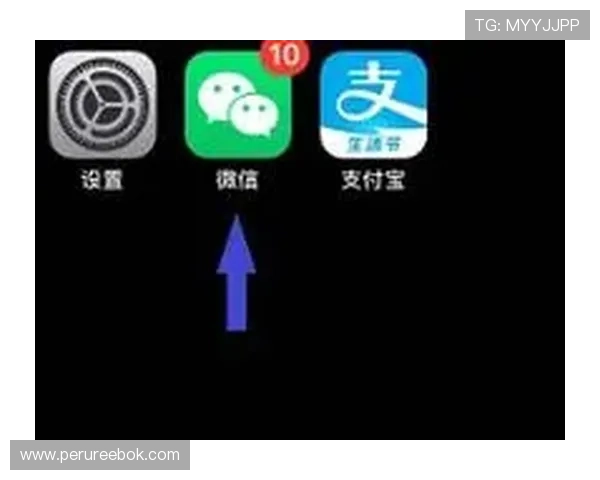 尊龙体育登录账号密码忘记怎么办，详细步骤帮你快速找回账号安全保障