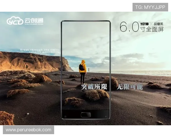 开云体育app入口最新官方登录地址，确保用户安全畅享体育赛事全场体验